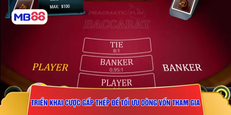 Triển khai cược gấp thếp để tối ưu dòng vốn tham gia